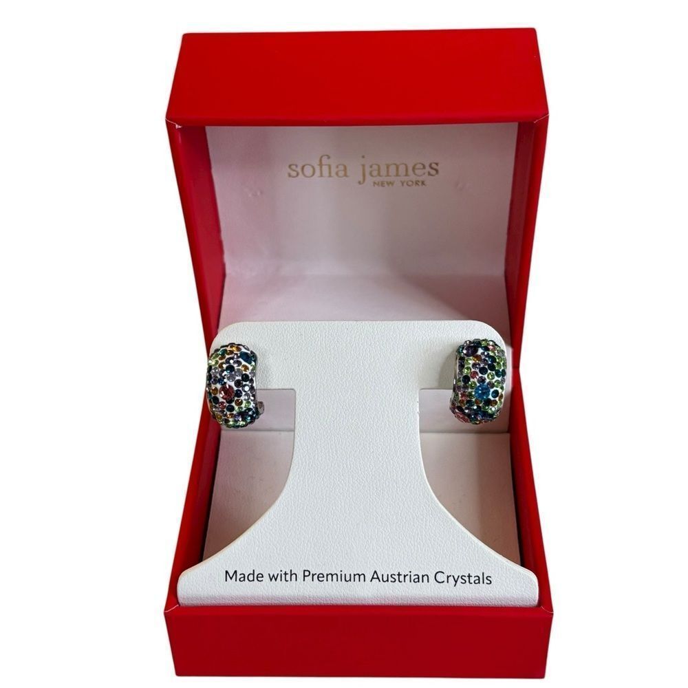 Gorgeous Multi-Color Hinged Hoops Featuring Premium Austrian Crystals.